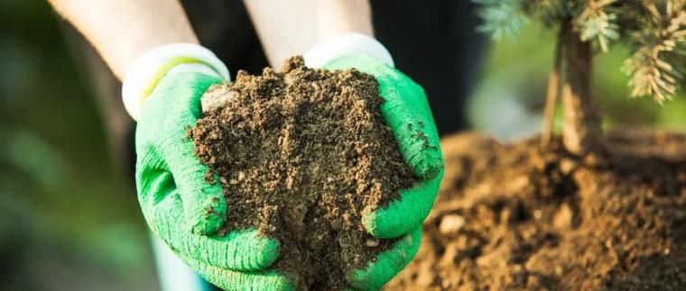 味精是好东西吗,味精有什么营养