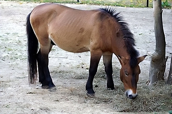 约35亿年前地球上出现了什么,公元前1万年前地球发生了什么