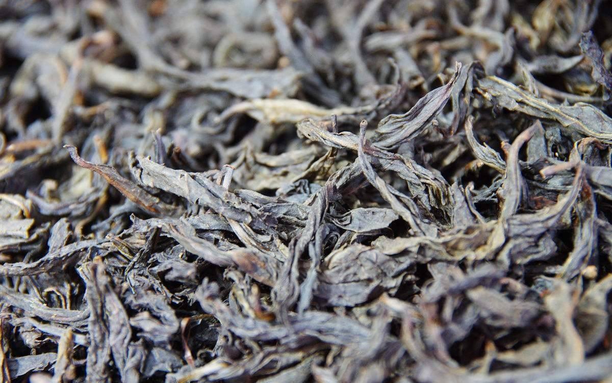 茶叶受潮怎么泡茶好喝呢,茶叶受潮没有茶香了
