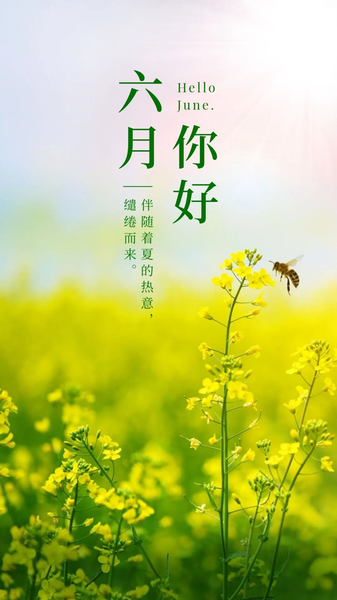 六月你好图片励志简短句子,六月你好的唯美句子短句图片
