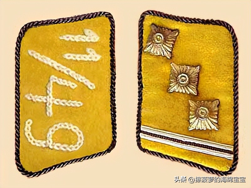 纳粹冲锋队用的什么枪,纳粹德军军衔图解