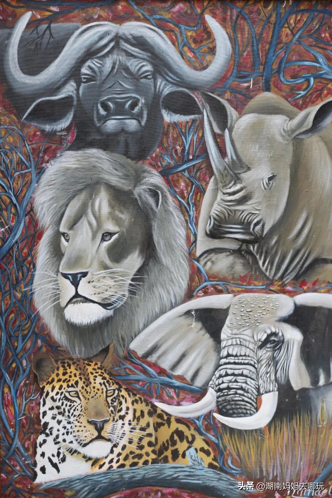 出发!长沙家门口的“非洲遛娃乐园”,小朋友最喜欢的长沙乐园!