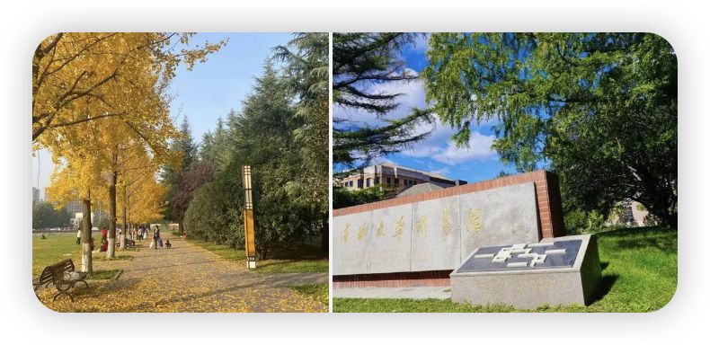 2024高考志愿选什么专业好就业,2023年报考什么专业就业前景最好