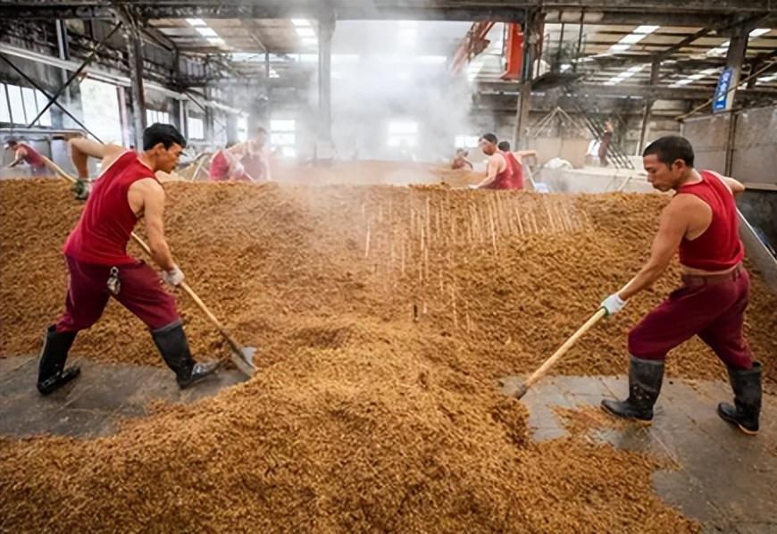 买红酒需要看哪些参数,买红酒为什么要看瓶底