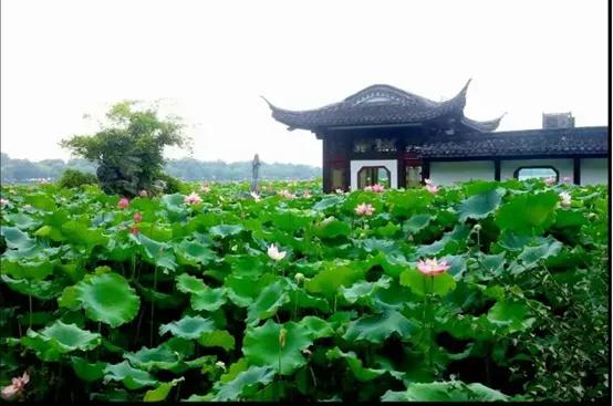 晚上杭州最值得去的五个景点,杭州名胜古迹旅游景点有哪些