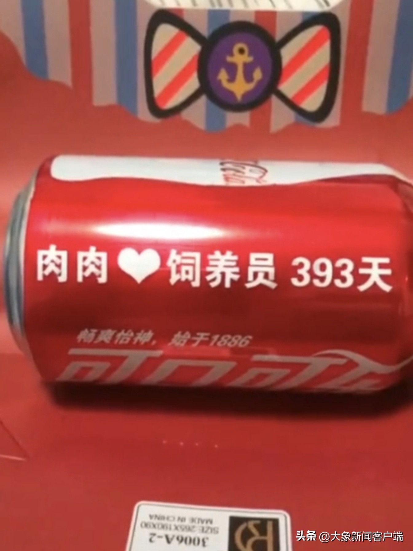 苏州杀夫藏尸案最新进展,苏州杀夫藏尸案终审判决结果