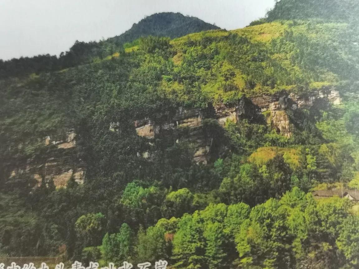 綦江九龙潭峡谷,重庆綦江有哪些野生动物