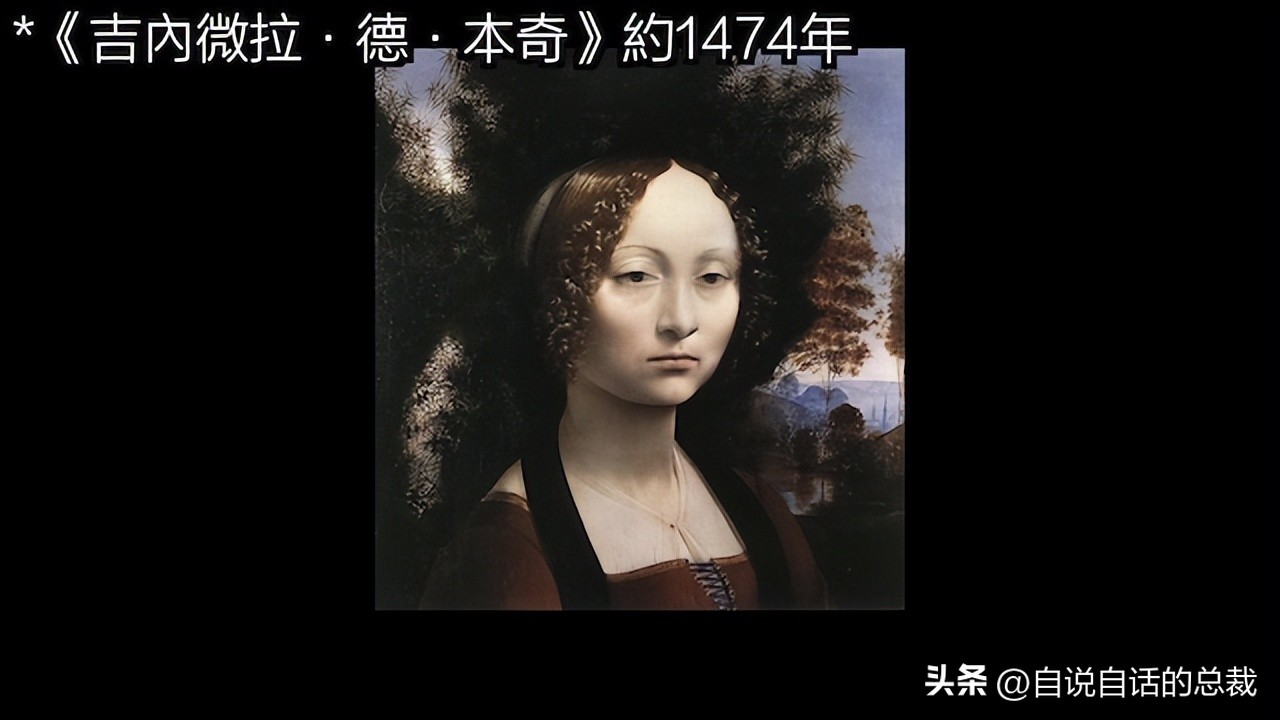 达芬奇一生最大的成就有哪些,达芬奇真实的故事