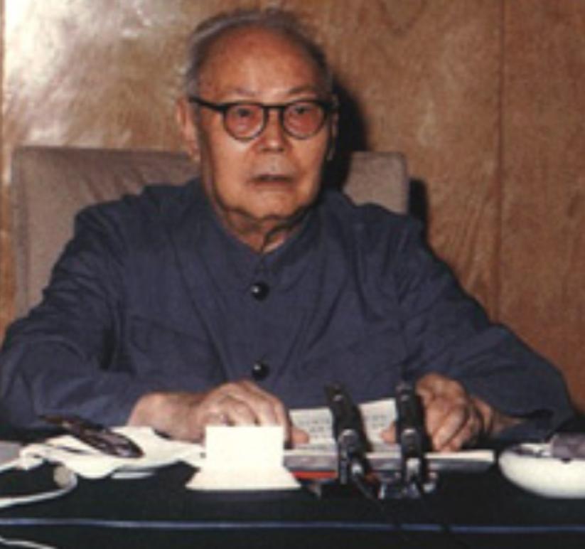 叶向真回忆父亲*剑英叶**：为陈毅病情拍桌发怒