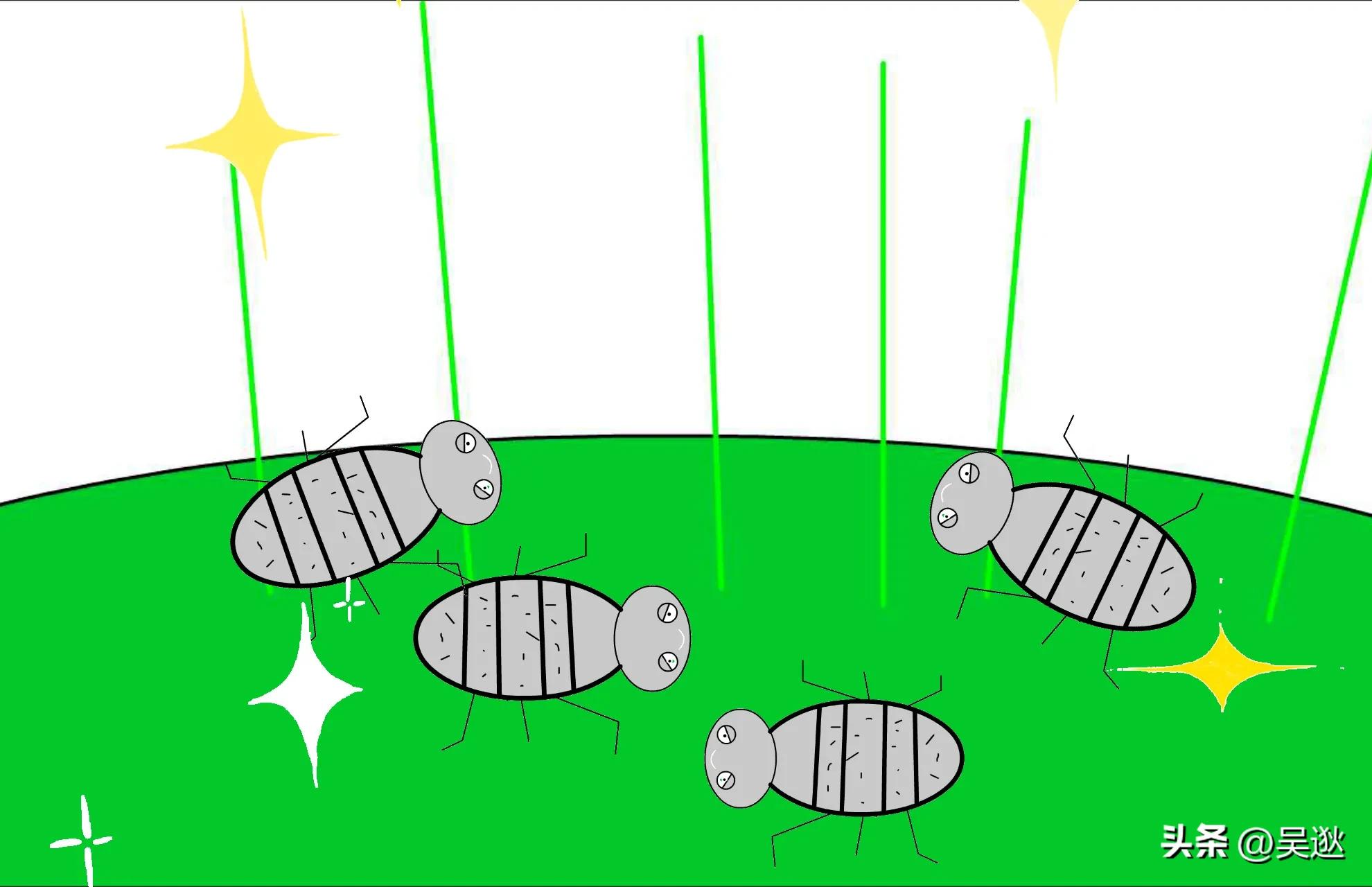 女生的口红竟然是虫子做的,美女口红里有虫子