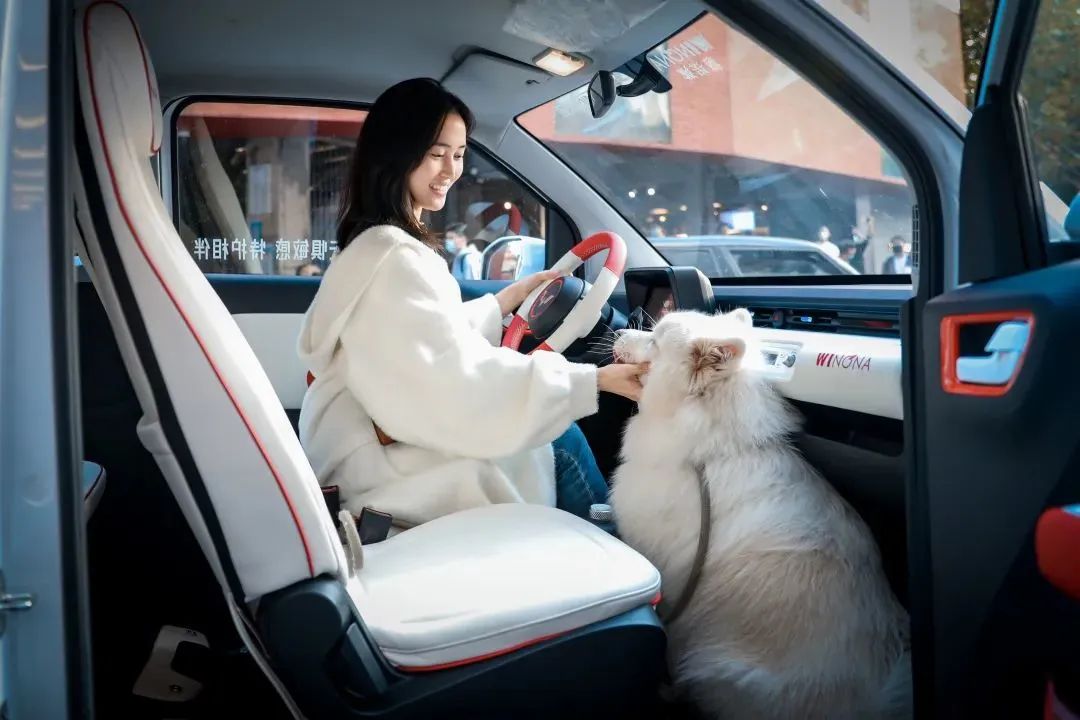 年度最“出圈”联名，五菱X薇诺娜如何击中当代年轻人？