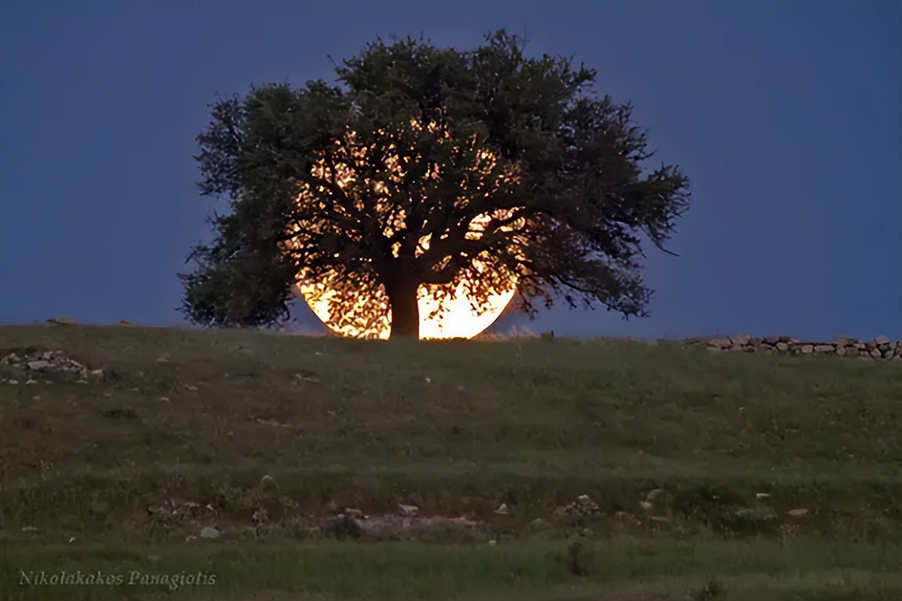 如果有人看不起你的感悟,如果有人看不起你无需给他面子