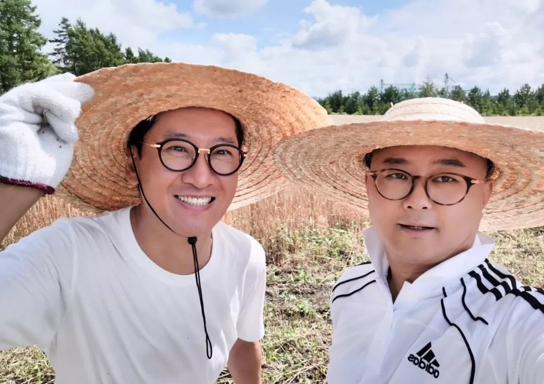 林心如对周杰吻戏事件的回应,周杰澄清跟林心如拍吻戏