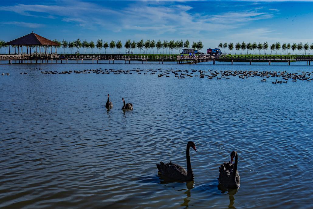 松原查干湖旅游三日,松原查干湖五一旅游团