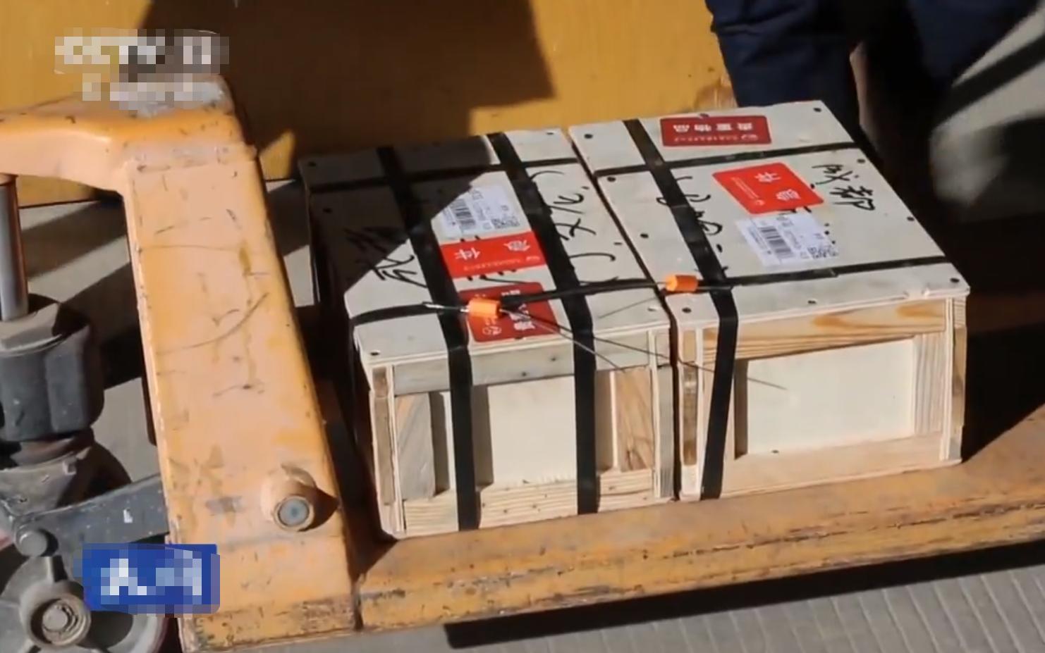 2017年西藏老板托运25公斤黄金,西藏一老板用飞机托运50斤黄金