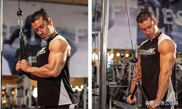 如何让上臂肌肉变大,怎么练上臂变粗壮