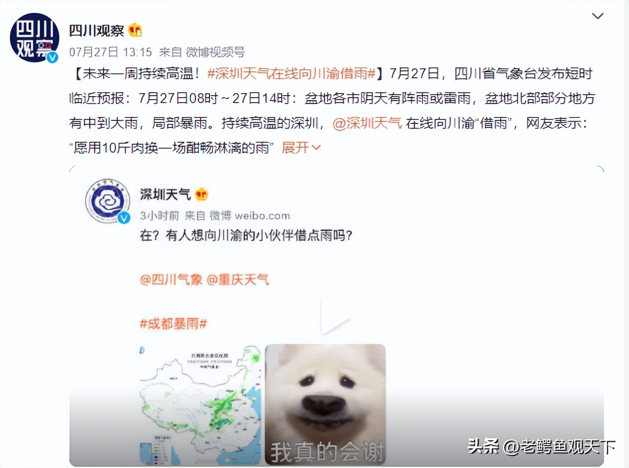 高温天气网友热议,高温天调侃