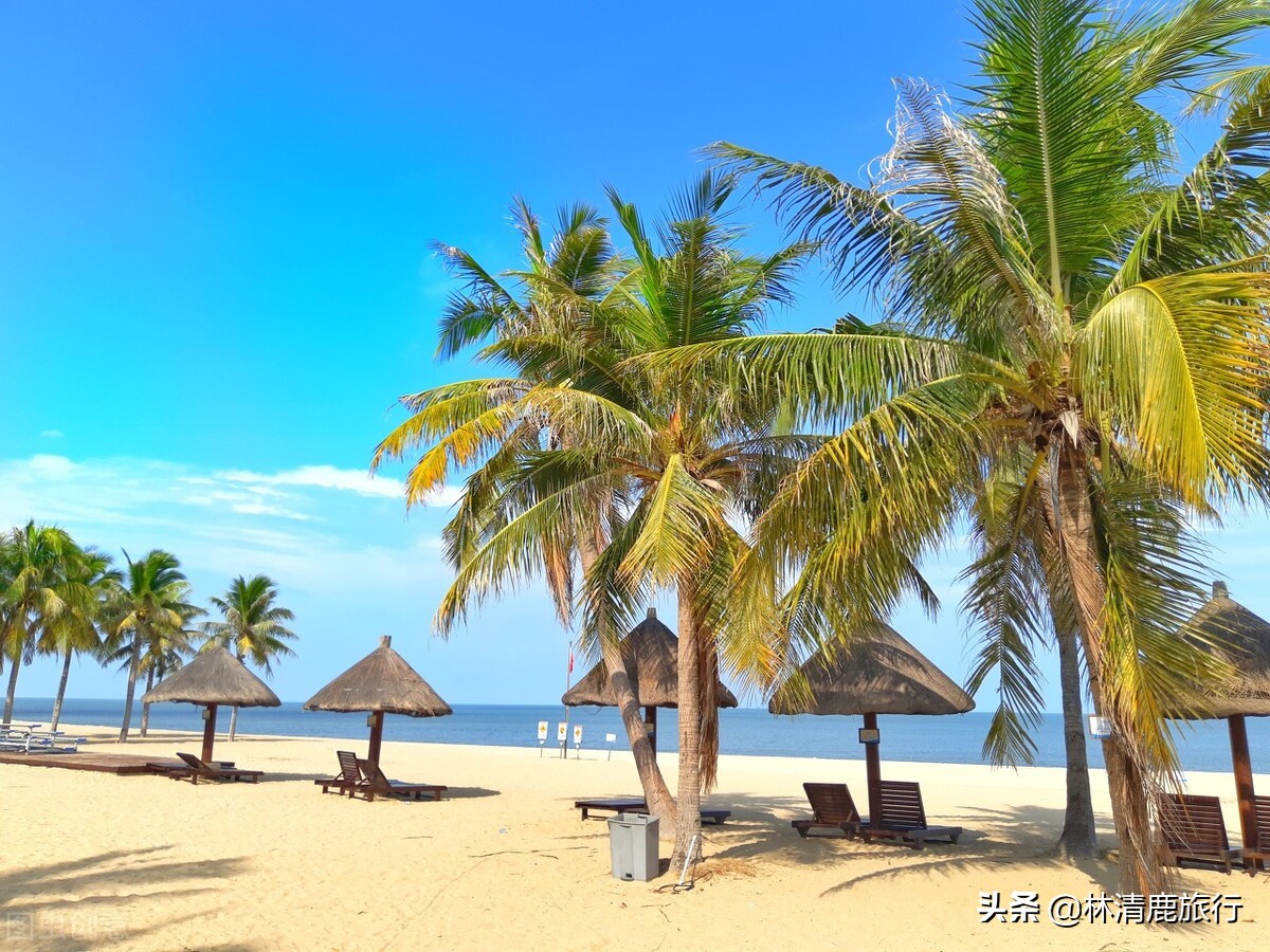 东北人为什么扎堆海南,海南三亚东北人为什么那么多