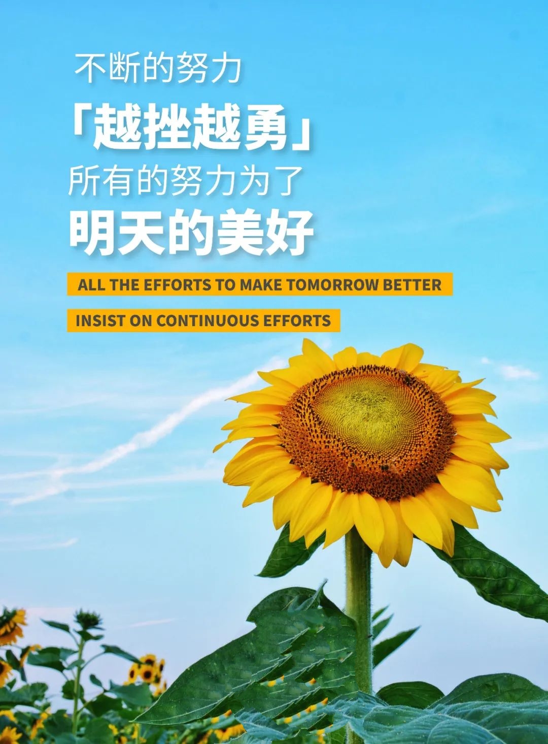 早安心语正能量经典一句话图片,2022早安心语简单一句话