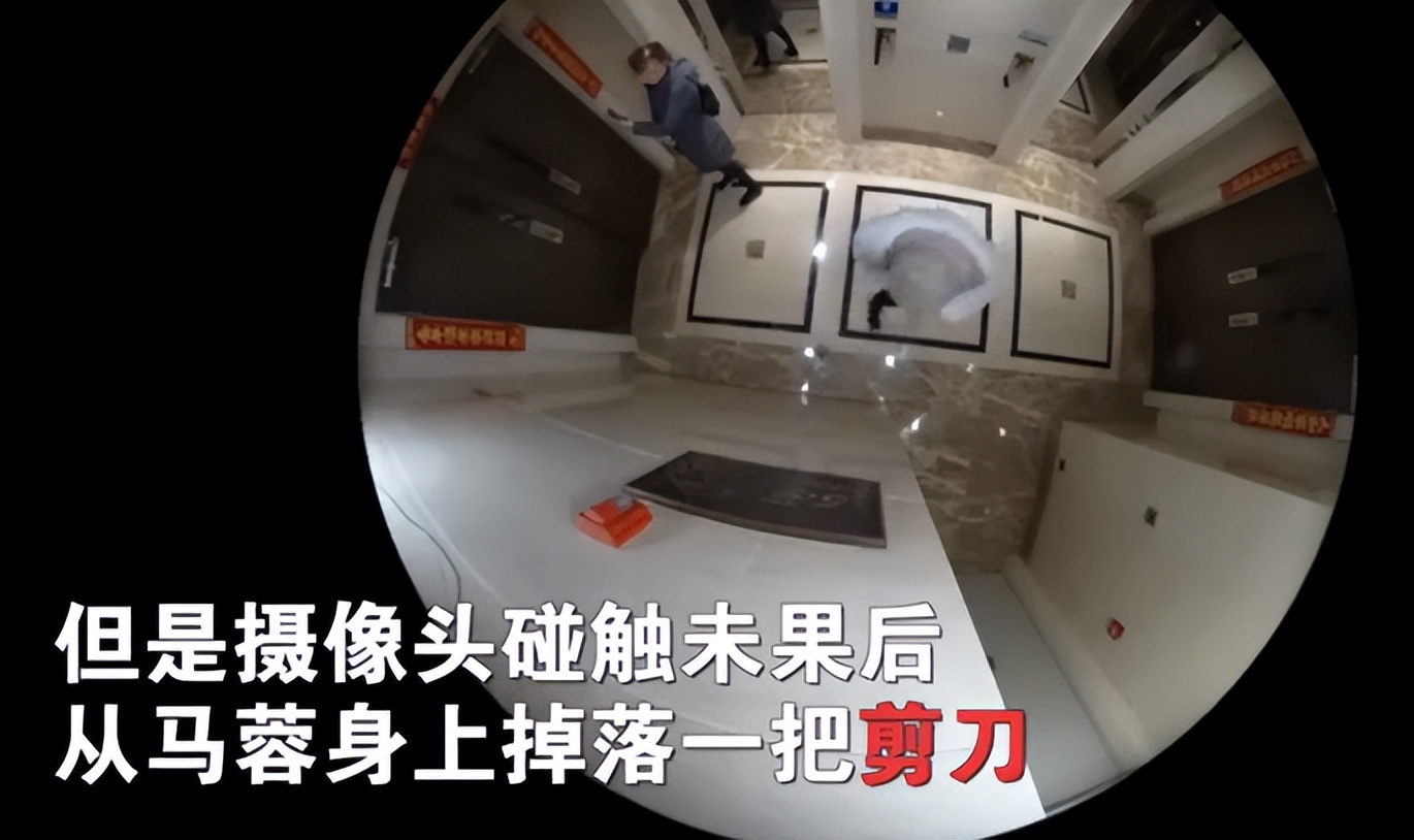 离婚7年后，王宝强和马蓉的个人状况如何了？