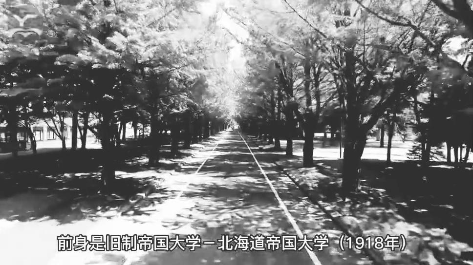 超级国际化大学计划,日本北海道大学全球排名