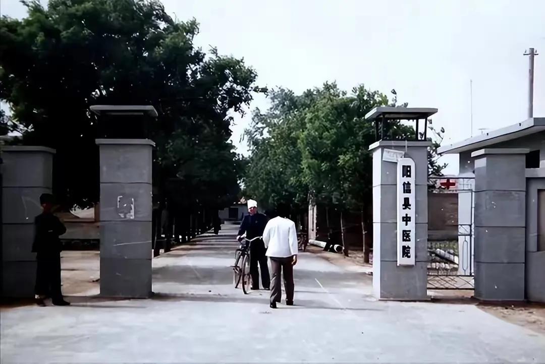 山东第一反腐大案,山东省第一季度反腐