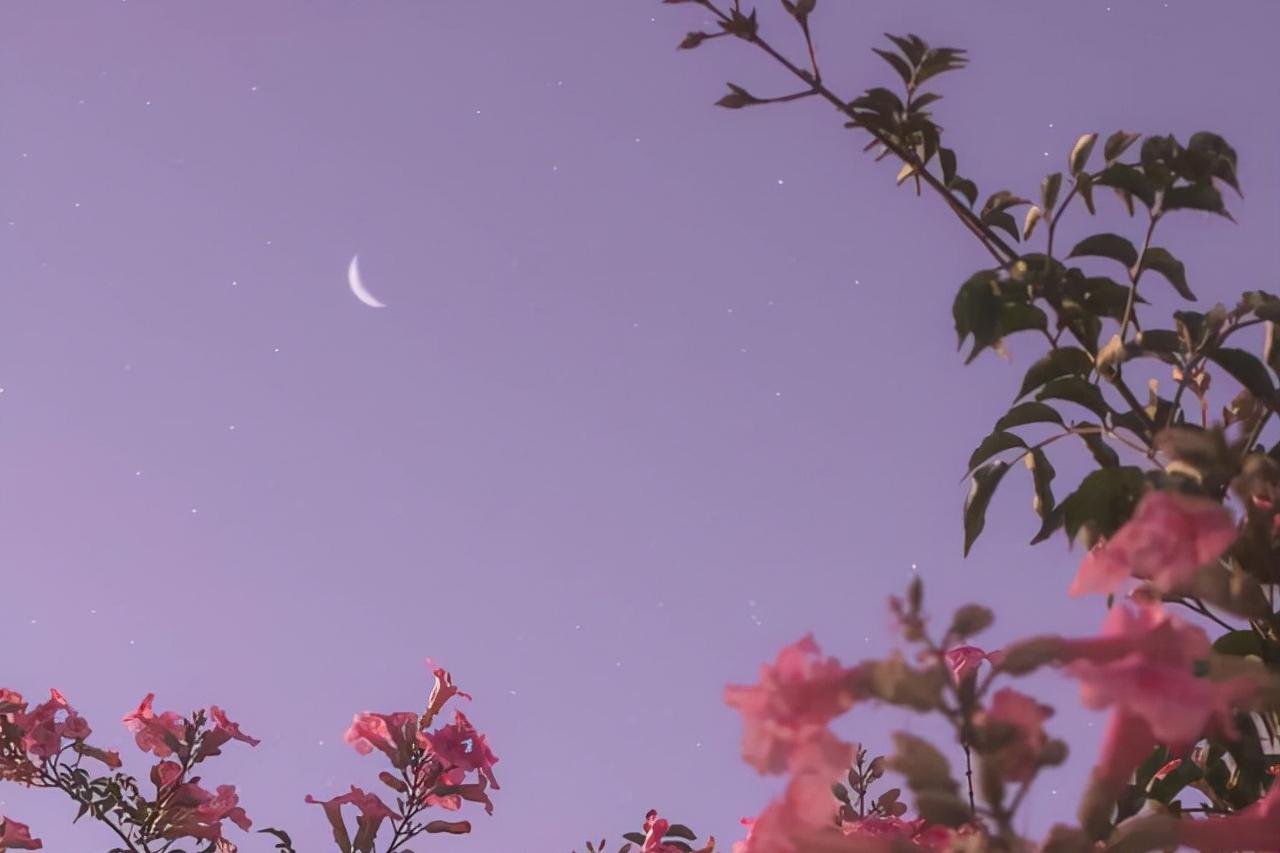 人到中年从三个细节看透人生,人到中年不必刻意去做人