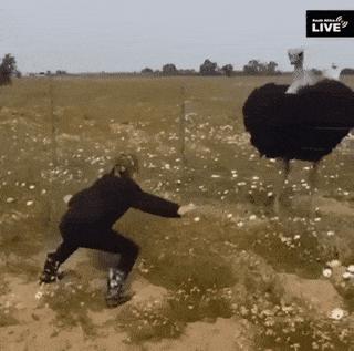 100个难得一见的照片,106个难得一见的照片