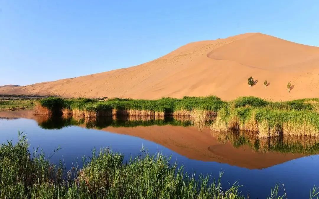 向北向北！|“美”在内蒙古