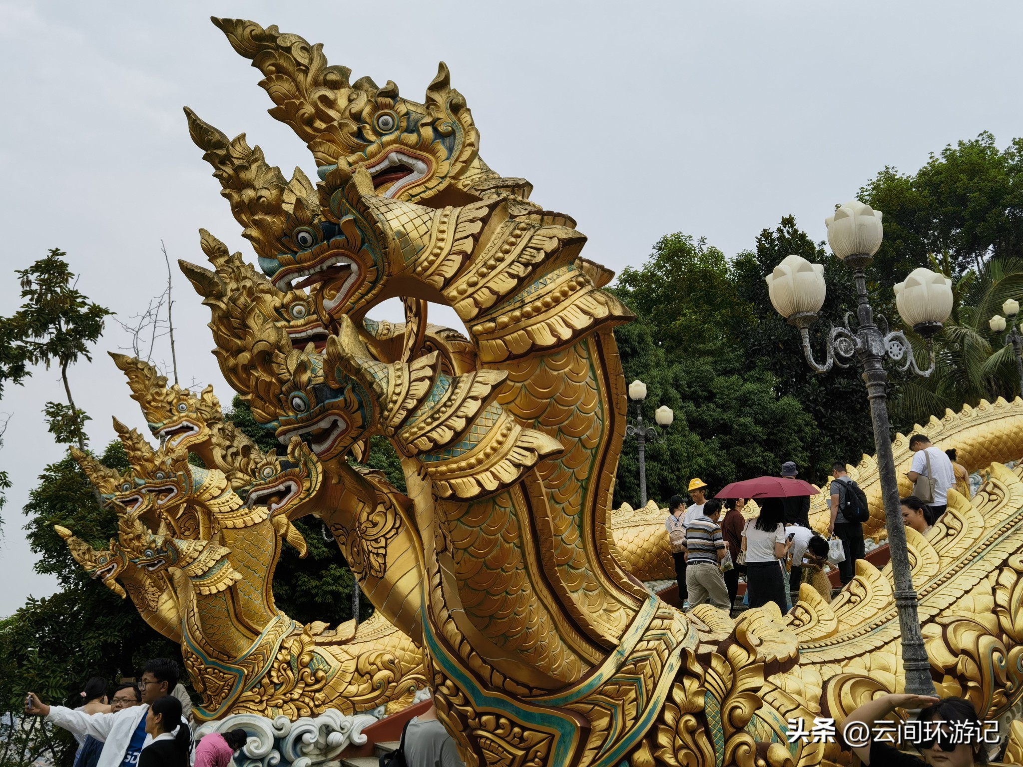 缇庝附寰峰畯娴极涔嬫梾,婕父寰峰畯