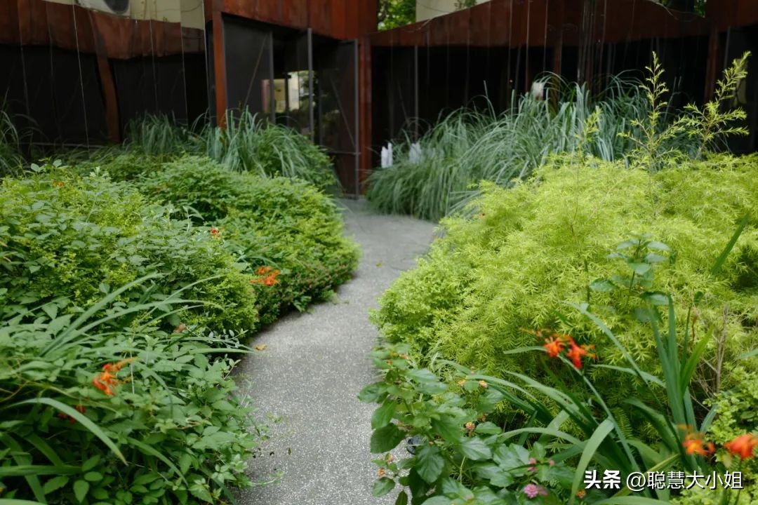 去这条充满松弛感的“小马路”，慵懒地溜达一天才是正经事