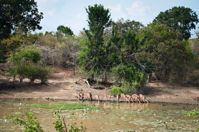 斯里兰卡旅游攻略必去景点,斯里兰卡最佳旅游攻略
