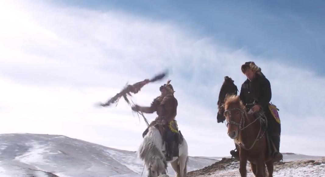 金雕击毙狼全过程,蒙古猎鹰捕狼视频