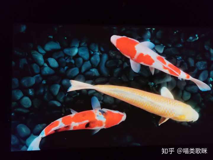 优派4k家用投影机,优派投影仪开箱