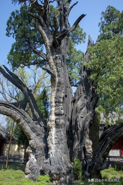 郑州市值得游玩的地方,郑州市附近旅游攻略
