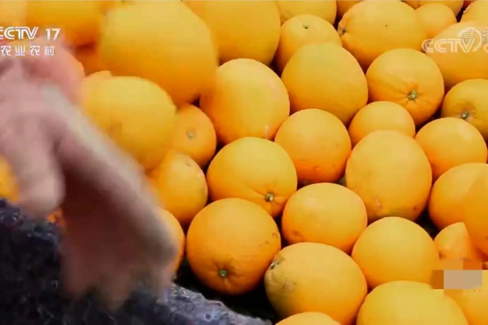 农村小伙承包80亩果园,90后小伙承包15亩果园养活3个孩子