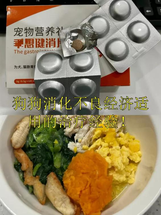 狗狗要命的病,狗狗中毒几天不死就能挺过来