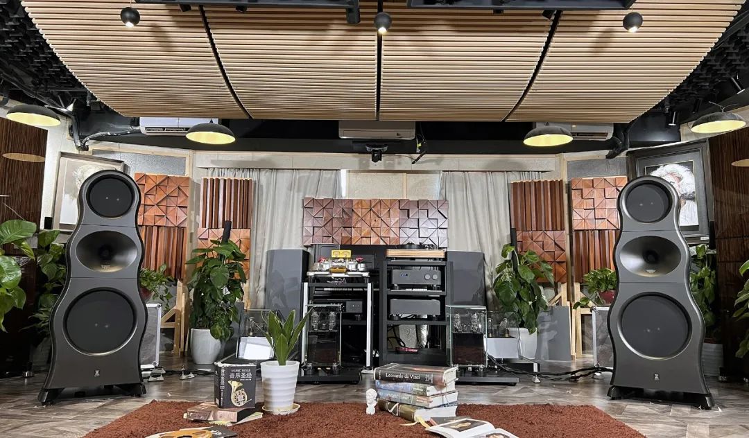 真TMD太好听了——意大利ZingaliClientEvo3.18音箱