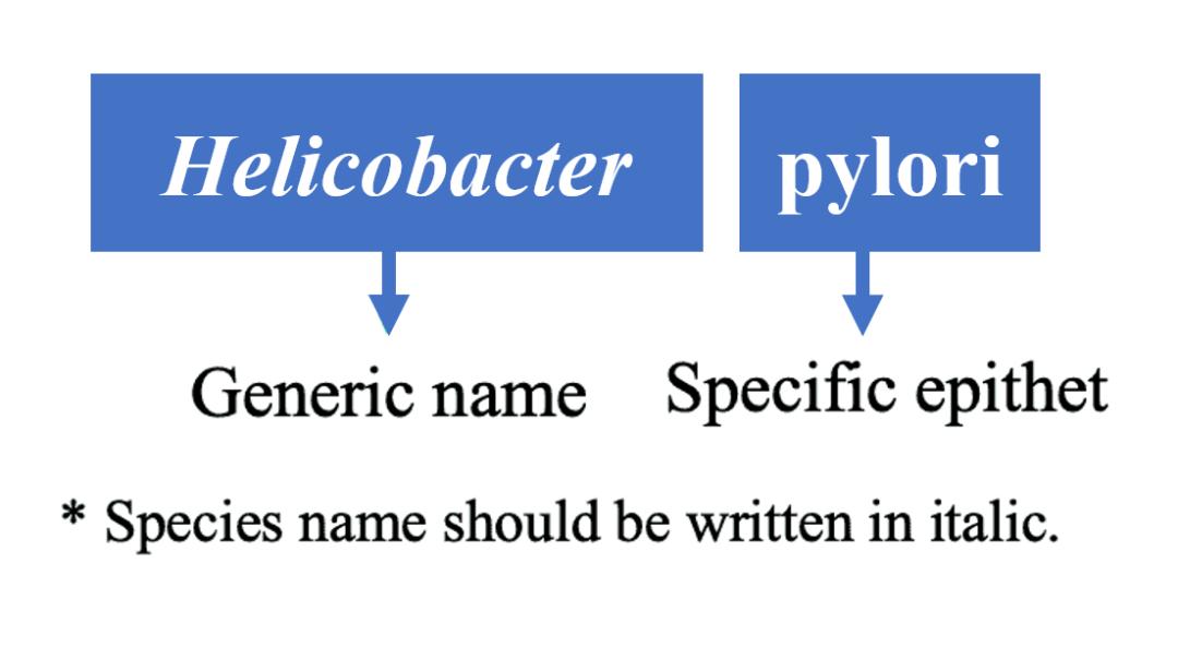 16srdna测序技术,什么叫16srna测序