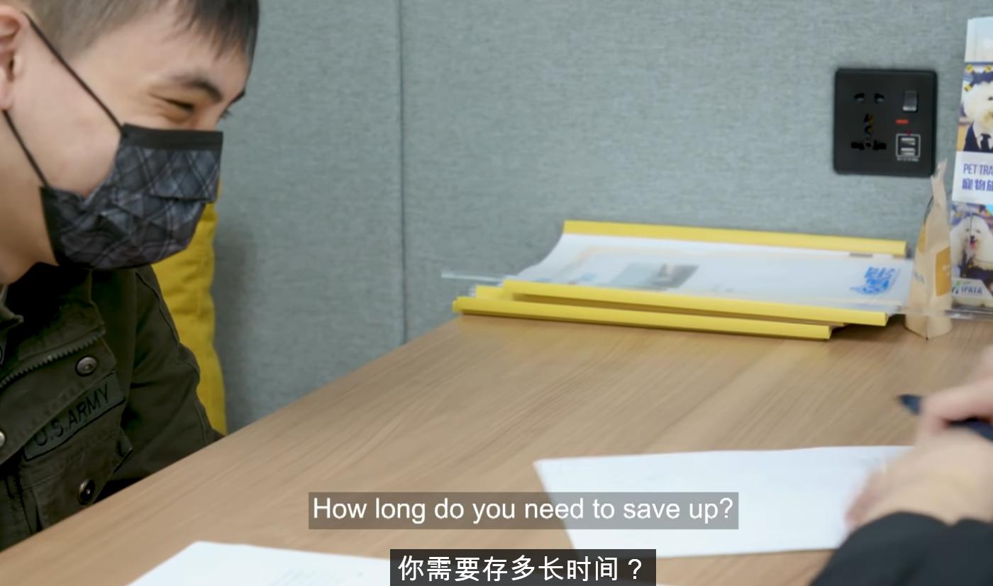 香港小伙月薪2万,执意要带2只猫移民英国,积蓄连机票都买不起