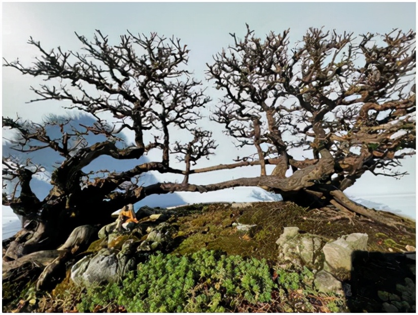 大美花都,广州花都竹洞村美景