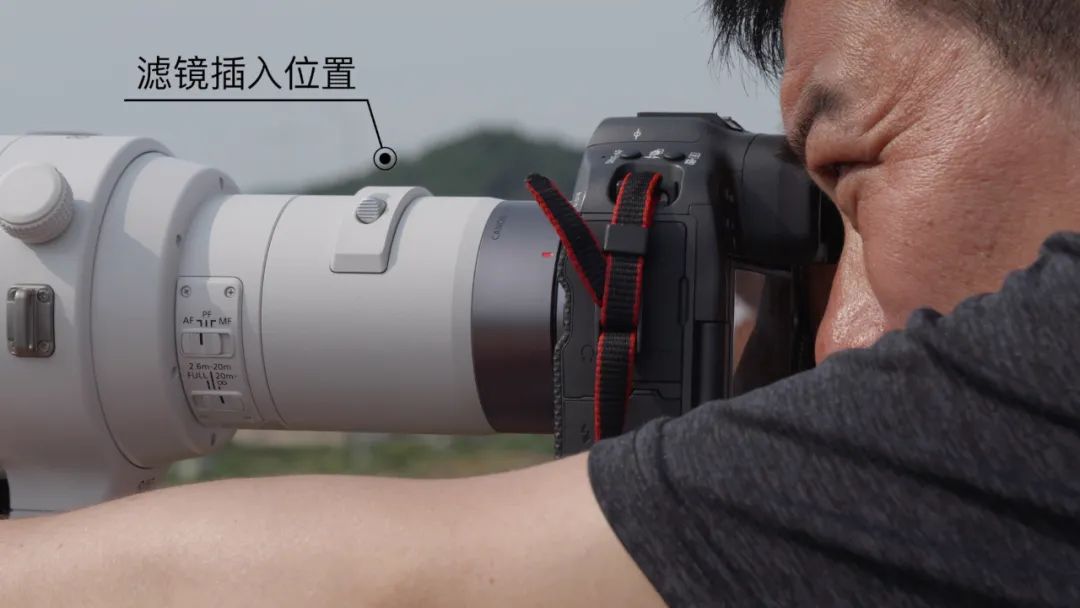 佳能rf800mmf5.6价格,佳能rf800mmf5.6定焦镜头能拍多远