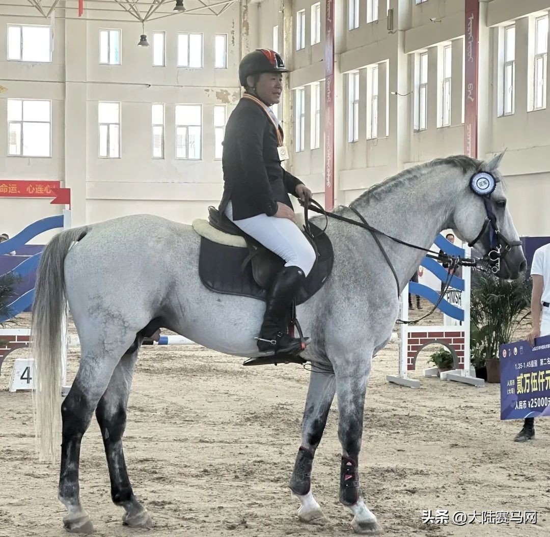 2024年中国马术场地障碍冠军北京,中国马术场地障碍年终总决赛打响