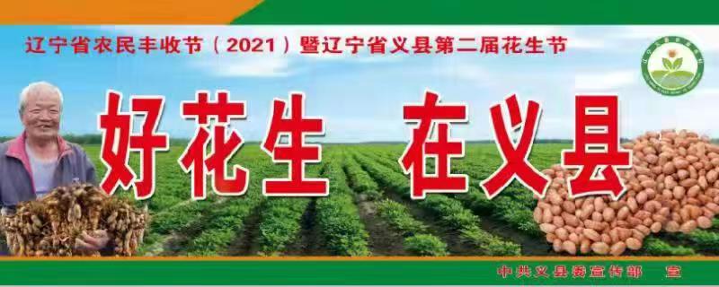 义县最新引资消息,义县招商