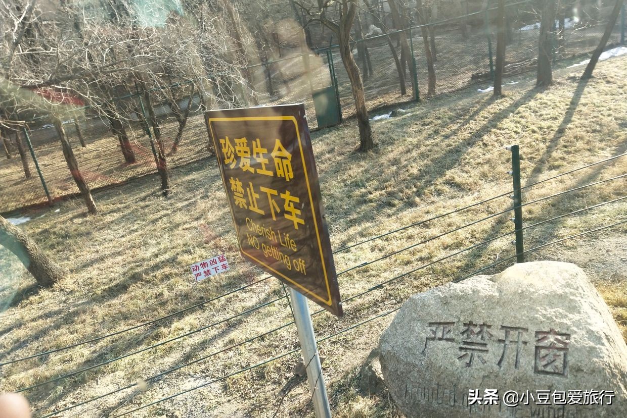 八达岭北京野生动物园推荐,两个人花100块钱能在北京玩多少