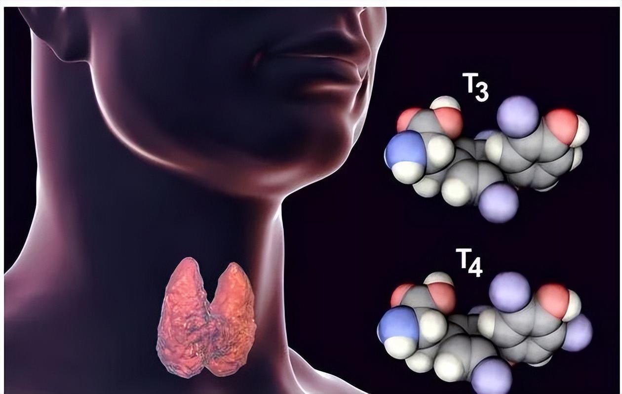 甲状腺怎么提高代谢,甲状腺患者如何提高免疫力