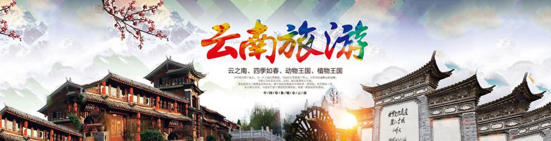 旅游卡代理是什么,旅游卡系统定制项目加盟代理