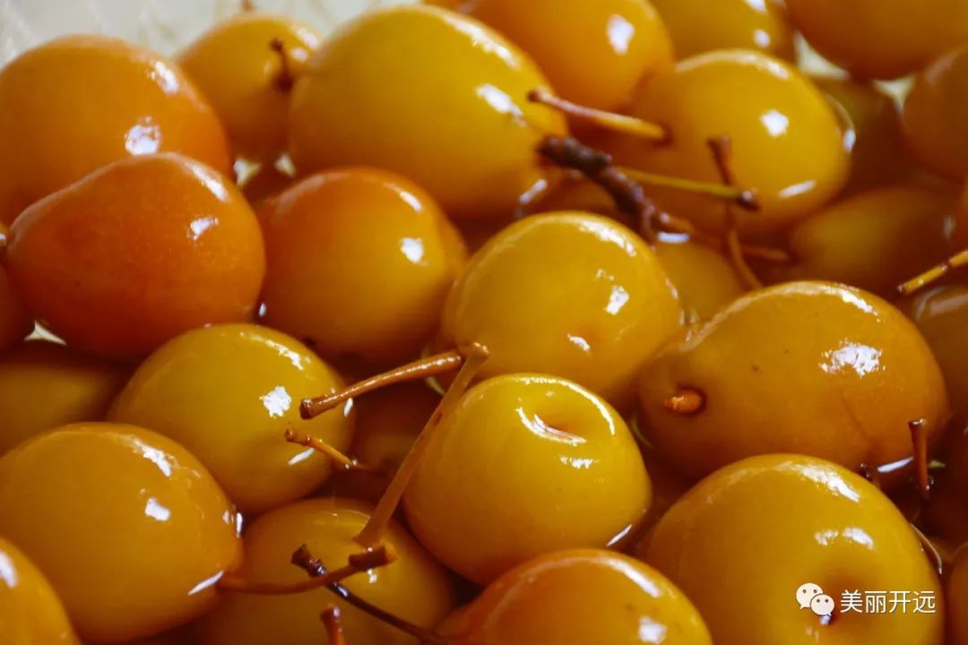 有一种叫云南的生活感动世界,有一种叫云南的生活从不缺浪漫