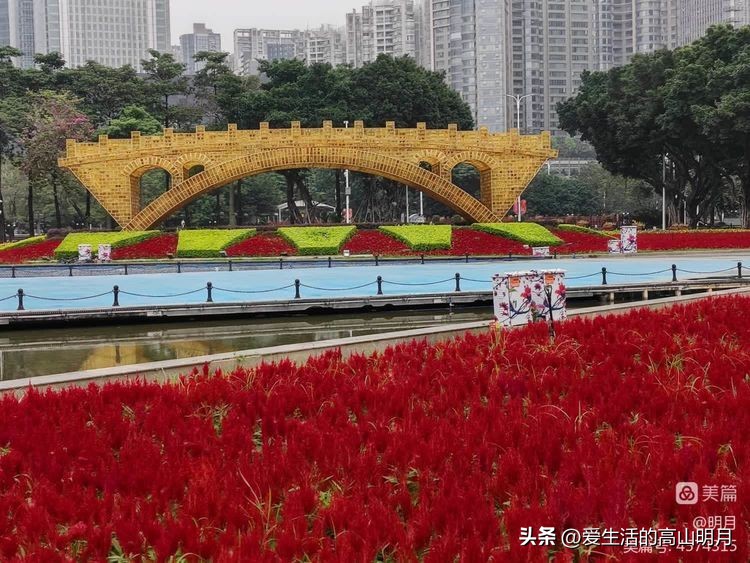 佛山至香港一日游,广州佛山一日游遛娃的好地方