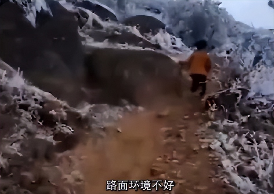 满头冰花上学的男孩,当年冰花男孩近况